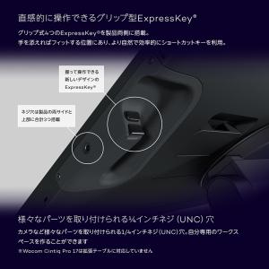 Wacom Cintiq Pro 17 (DT...の詳細画像5