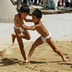 【28】 CD写真集「重陽の烏相撲」(スライド...の詳細画像4