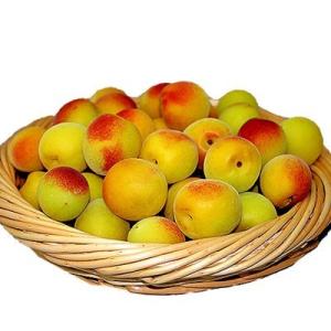 紀州南高梅 産地直送 梅干用完熟梅1kg