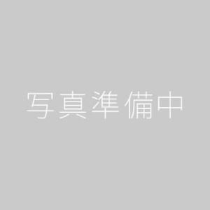 STANDARD Vol.10 鳴門 19cm玉丼 赤茶備前 10-154-12