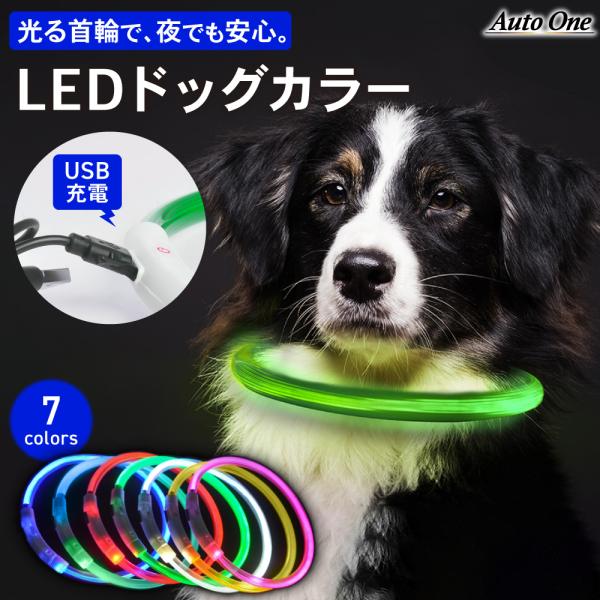 選べる7色 LEDドッグカラー 犬 光る首輪 点灯 点滅 led 光る 首輪 USB 充電式 ライト...