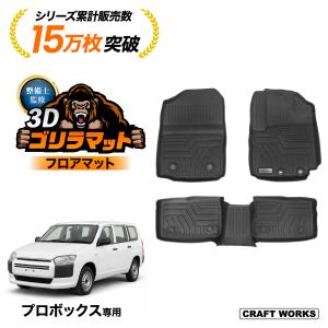 プロボックス スノー・レジャー用フロアマット（縁高タイプ）（運転席