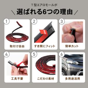 T型 エアロモール 5m 車 ヘッドライト エ...の詳細画像5