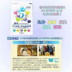 ファイブクリーン 1個 漂白剤 弱アルカリ性洗...の詳細画像1