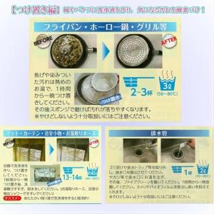 ファイブクリーン 1個 漂白剤 弱アルカリ性洗...の詳細画像3