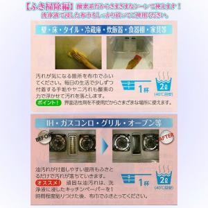 ファイブクリーン 1個 漂白剤 弱アルカリ性洗...の詳細画像4