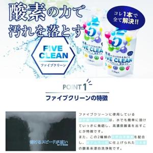ファイブクリーン2個 (ソフトパックティッシュ...の詳細画像1