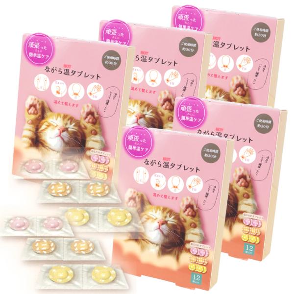 ながら温(HOT)タブレット12P《貼るだけタブレット 12個入×5箱 (個包装)ご使用時間 約30...