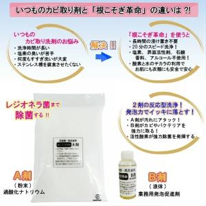 洗濯槽洗剤 根こそぎ革命 1回分 洗濯槽洗浄 ...の詳細画像2