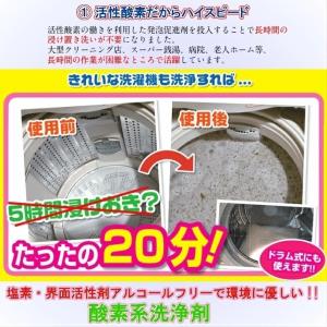洗濯槽洗剤 根こそぎ革命 2回分 洗濯槽クリー...の詳細画像1