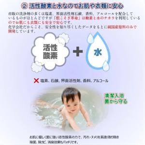 洗濯槽洗剤 根こそぎ革命 2回分 洗濯槽クリー...の詳細画像3