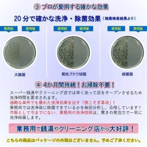 洗濯槽洗剤 根こそぎ革命 2回分 洗濯槽クリー...の詳細画像4