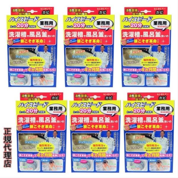 洗濯槽洗剤 根こそぎ革命 6個 洗濯槽洗浄 洗濯槽クリーナー 風呂釜洗浄 業務用洗剤 レジオネラ菌除...