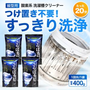 洗濯槽クリーナー 根こそぎ革命 1個 外箱なし 洗濯槽洗浄 風呂釜洗浄