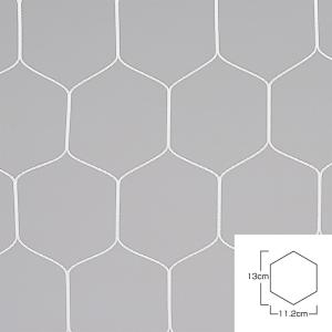 エバニュー EKE830 ハンドゴールネット検定亀甲H101 4934048382278 エバニューの正規販売店 (到着までの最短納期はメーカーに確認後、ご連絡)