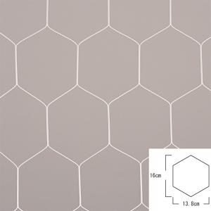 エバニュー EKD841 一般サッカーゴールネット亀甲S115 4934048546816 エバニューの正規販売店