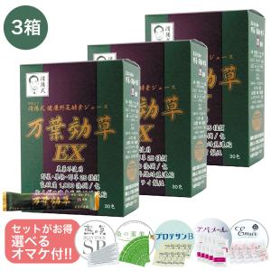 2024年NEW 桑の葉美人青汁(抹茶風味) 正規品 機能性表示食品 1箱 150g
