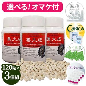 2024年NEW 桑の葉美人青汁(抹茶風味) 正規品 機能性表示食品 1箱