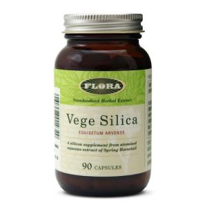 シリシア silicea 500ml 持ち運びに便利な携帯容器プレゼント中 シリカ