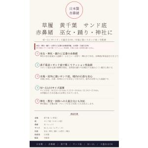 赤 鼻緒/スポンジ 草履(M〜LLサイズまで/...の詳細画像4