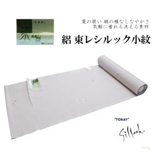 絽 東レシルック 小紋柄反物-No.014 なつめ【地色：鳩鼠色/絽小紋/日本製品/12.0メートル以上/巾約38.0センチ】【YP100P】｜wafukuya