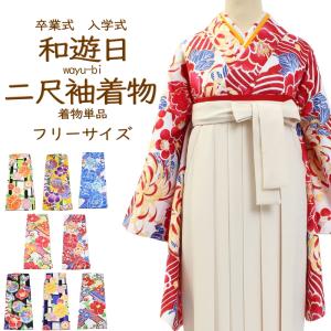 平和屋着物●小振袖　二尺袖　流水雪輪草花文　暈し染め　金彩　洗える着物　DABB0519ud 平和屋着物○小振袖 二尺袖 流水雪輪草花文 暈し染め 金彩 洗える着物