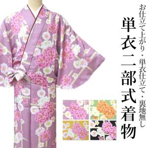お仕立て上がり 単衣 二部式 着物 洗える（単衣�