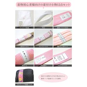 着付け12点セット(和柄のキルティングバック付...の詳細画像1