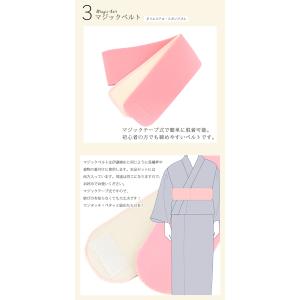 着付け小物16点セット 着物 訪問着 留袖 和...の詳細画像4