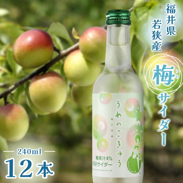 BENIサイダー 梅の呼吸 12本入り 炭酸飲料 福井県 ご当地 梅サイダー 香料不使用 お中元