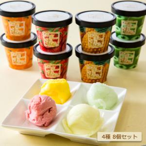 アイスクリーム アイス フルーツティアラ レッド 4種8個セット【お届け不可地域：北海道・沖縄・離島】｜wagamachi-tokusan