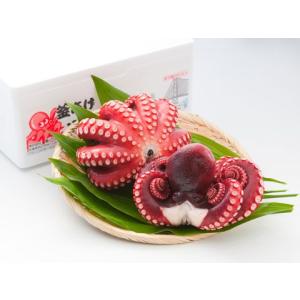 蛸 釜あげ 明石だこ 中2尾 約800ｇ 明石市 お取り寄せ