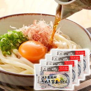 人力うどん「職人の技」うどん・そばセット 計6個 福山製麺所 低温熟成