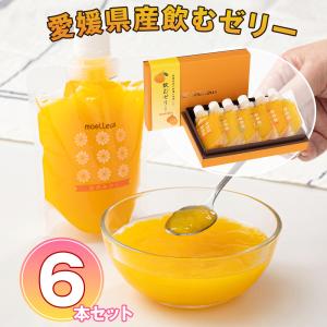 ワッフルアトリエ ムエル 愛媛県産飲むゼリー5本セット スイーツ