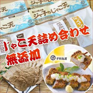 宇和島屋 愛媛県 無添加 じゃこ天 ３種 詰め合わせ 22枚セット お取り寄せ お土産 ギフト プレゼント 特産品 お年賀 おすすめ
