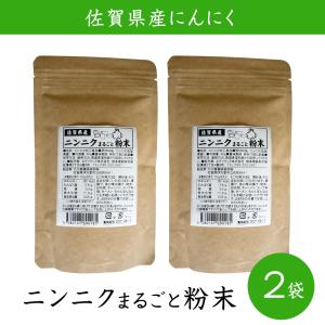 佐賀県産 ニンニクまるごと粉末60g 2袋セット【ネコポス便】 にんにく 佐賀県産 粉末 常温 お取り寄せ お土産 特産品 名物商品 お中元