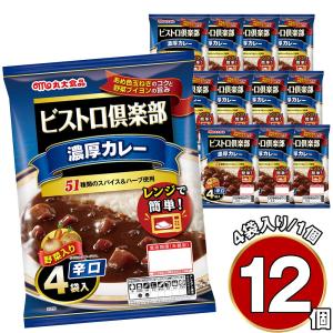 丸大食品 業務用カレー中辛 大容量 レトルトカレー お取り寄せ お土産