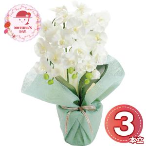 母の日 ギフト 2026 プレゼント 早割 P10倍 アーティフィシャルフラワー ミニ胡蝶蘭3本立ち ホワイト 25-MD-06-WH 1852-125 お取り寄せ おすすめ