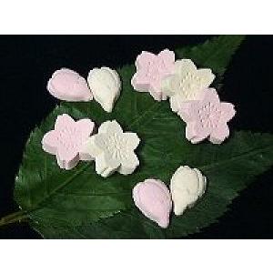 吉野懐古　２８ヶ曲物入（奈良：松屋本店）