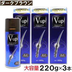 PINOLE（ピノーレ） 増毛スプレー ブラック 大容量 220g ボリューム