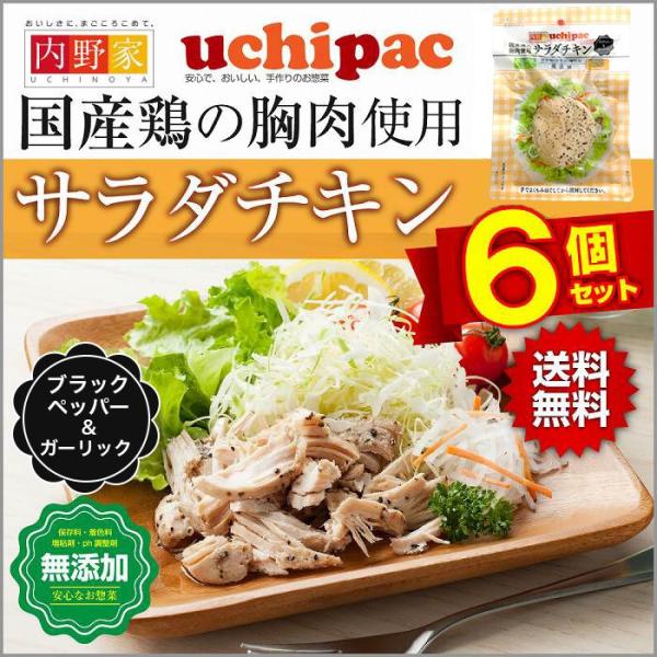 サラダチキン まとめ買い 国産 無添加 ブラックペッパー&amp;ガーリック 6個セット ネコポス 送料無料...