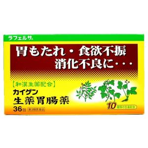 【第3類医薬品】胃腸薬 市販 漢方 二日酔い 胃もたれ 胸やけ 吐き気 カイゲン生薬胃腸薬 36包｜wagonsale-kanahashi