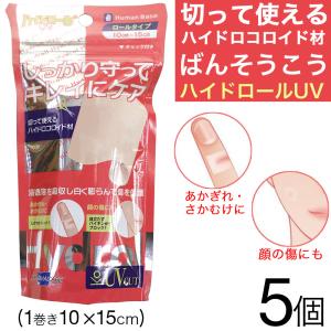 スミス＆ネフュー ハイドロサイト薄型 サイズ5cmx6cm3枚入り創傷被覆