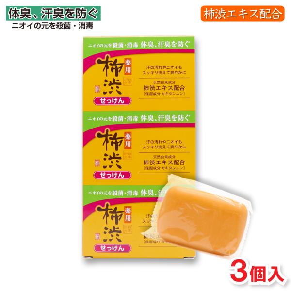 薬用 柿渋 石けん 100g 3個入り 柿渋エキス ニオイのもと 殺菌 消毒 かきしぶ 柿渋石鹸 柿...