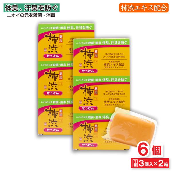 薬用 柿渋 石けん 100g 3個入り×2セット 合計6個 柿渋エキス ニオイのもと 殺菌 消毒 か...