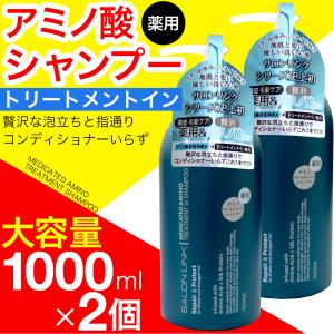 アミノ酸シャンプー トリートメントイン 薬用 16種のアミノ酸 アミノ シャンプー 1000ml 2本セット サロンリンク 医薬部外品｜wagonsale