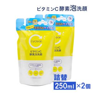 ビューア 酵素洗顔料 泡タイプ ビタミンC誘導体 酵素泡洗顔 詰替 250ml