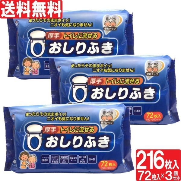 おしりふき 厚手 大人用 ヒアルロン酸 弱酸性 ノンアルコール 無香料 トイレに流せる 72枚入 3...