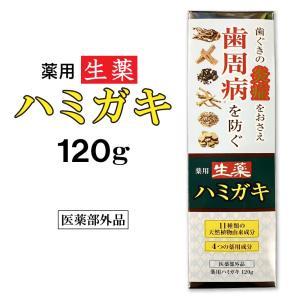 生薬 はみがき 薬用ハミガキ 120g 医薬部外品｜wagonsale