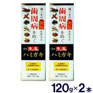 生薬 はみがき 薬用ハミガキ 大容量120gタイプ 医薬部外品 ２本セット｜wagonsale